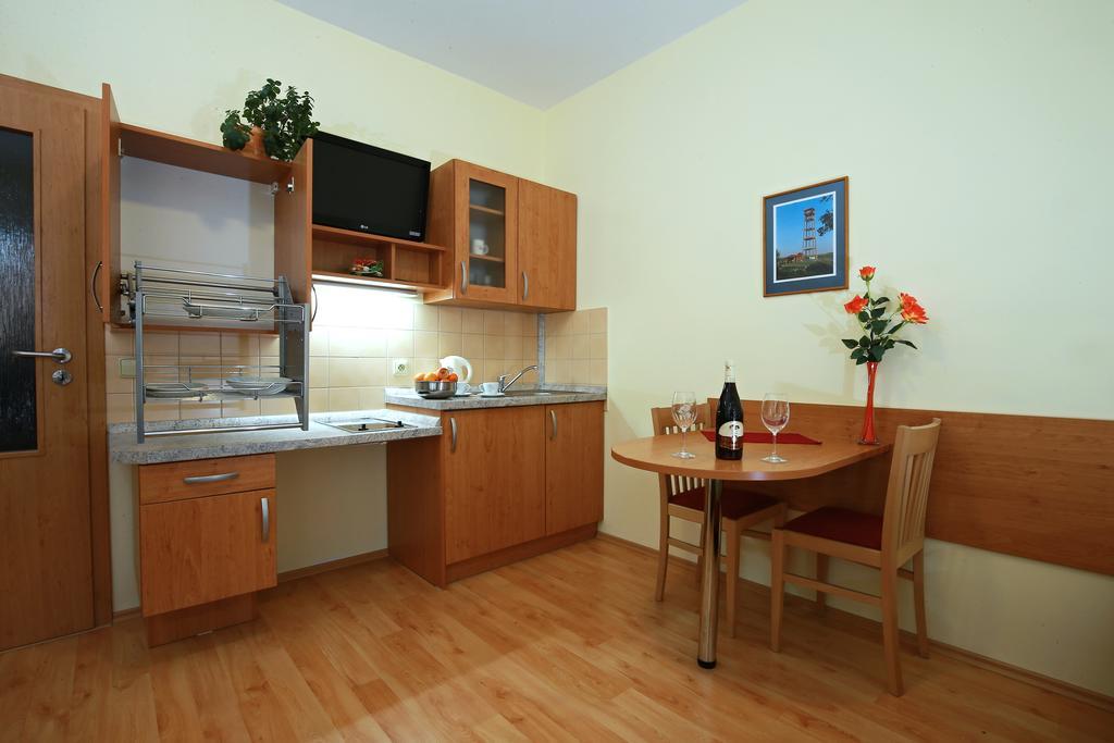 Wellness Penzion Pod Rozhlednou Kostelec nad Orlicí Δωμάτιο φωτογραφία