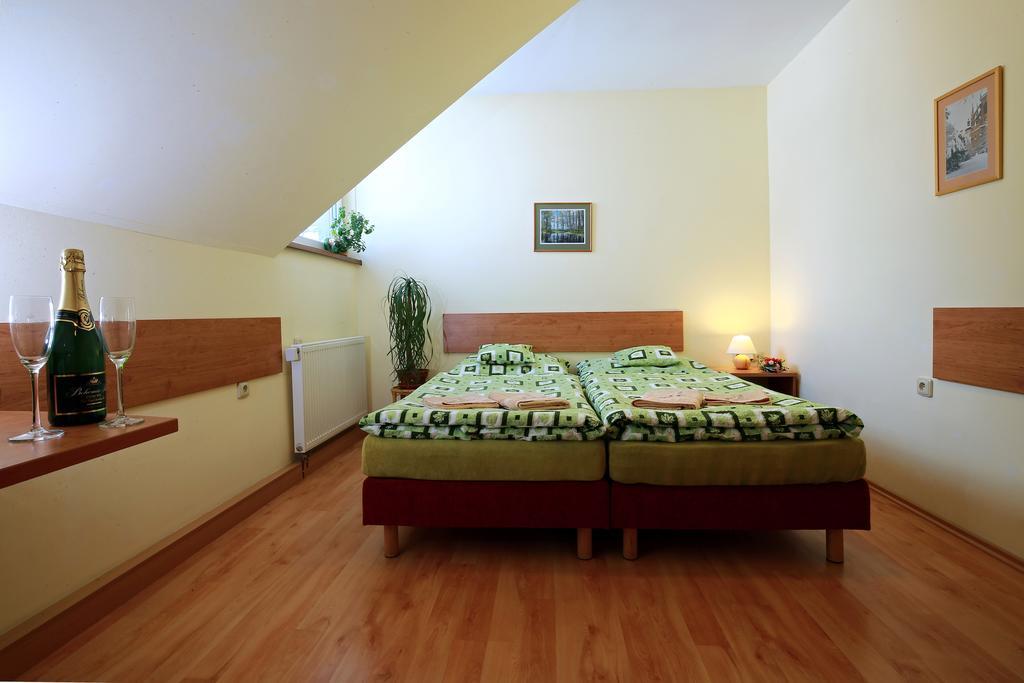 Wellness Penzion Pod Rozhlednou Kostelec nad Orlicí Δωμάτιο φωτογραφία