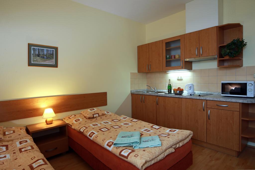 Wellness Penzion Pod Rozhlednou Kostelec nad Orlicí Δωμάτιο φωτογραφία